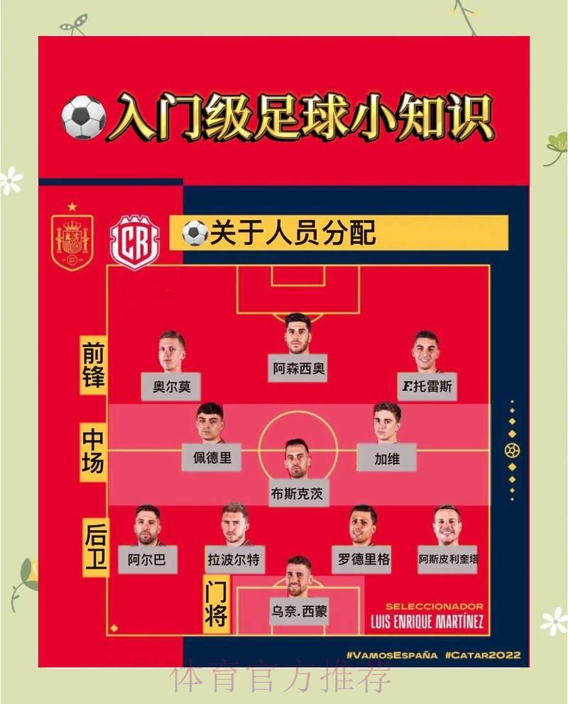 全面解析世界杯比分教程